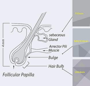 epilare-definitiva-sia-clinique-4